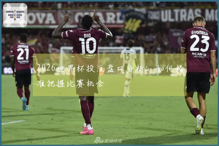 2026世界杯投注盘口分析：如何精准把握比赛机会