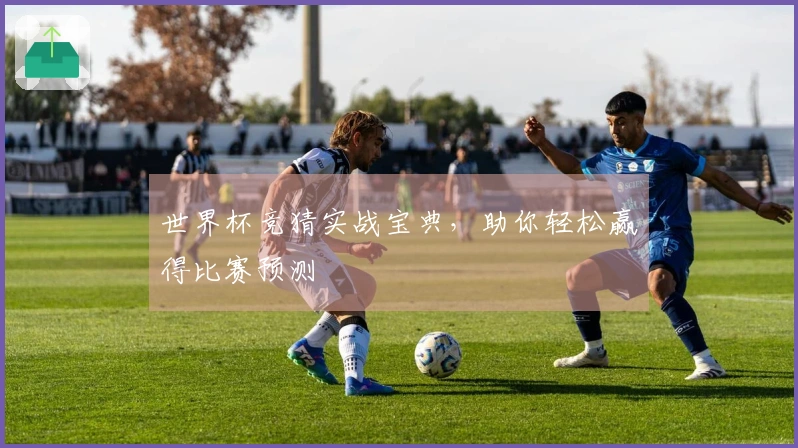 世界杯竞猜实战宝典，助你轻松赢得比赛预测