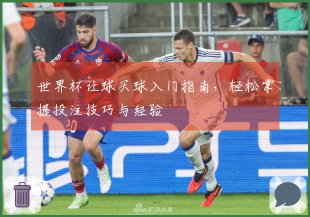 世界杯让球买球入门指南，轻松掌握投注技巧与经验