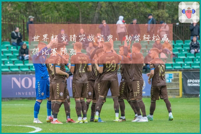 世界杯竞猜实战宝典，助你轻松赢得比赛预测