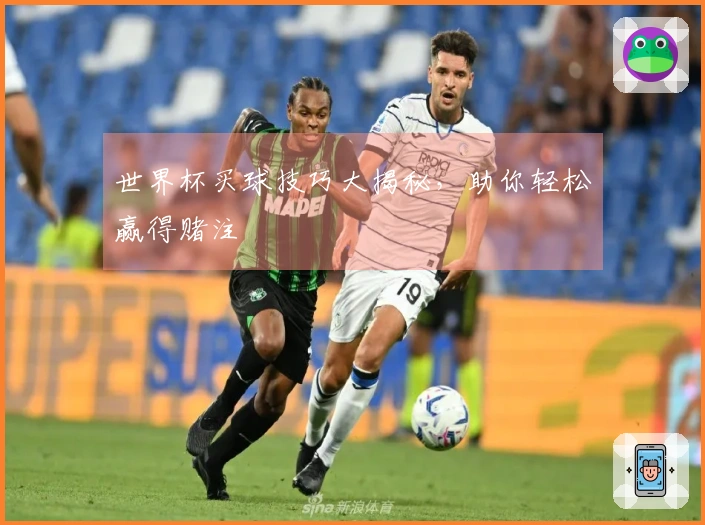 世界杯买球技巧大揭秘，助你轻松赢得赌注